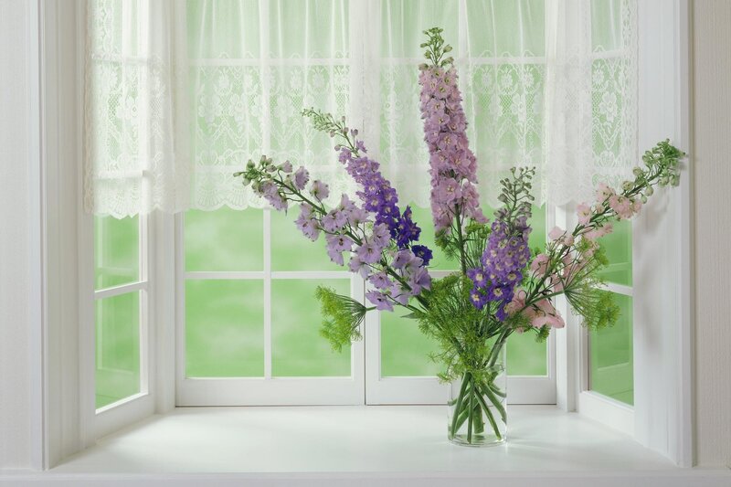 Flower Arrangement on Windowsill — Purple, Serene, Spring
