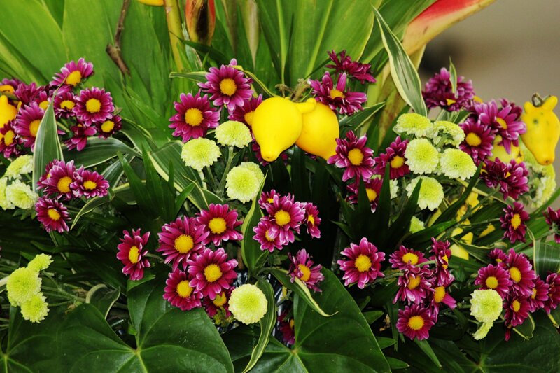 Flower Arrangement with Lemons — Purple
