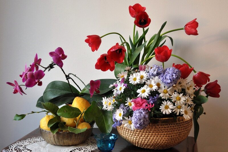 Flower Arrangement with Lemons — Red