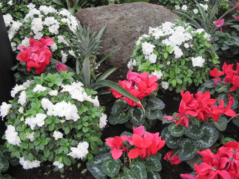 Flower Arrangement with Rock