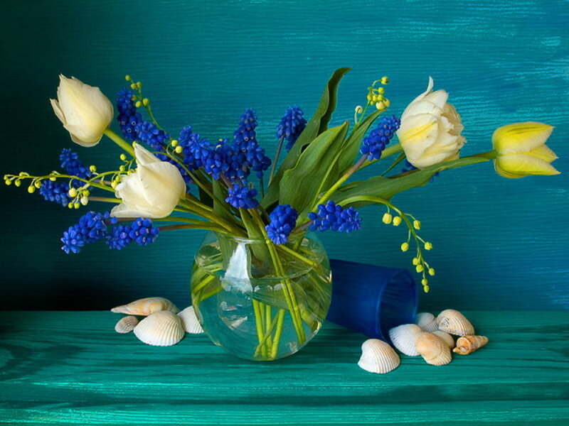 Flower Arrangement with Seashells