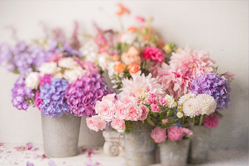 Flower Arrangements in Pots — Pink