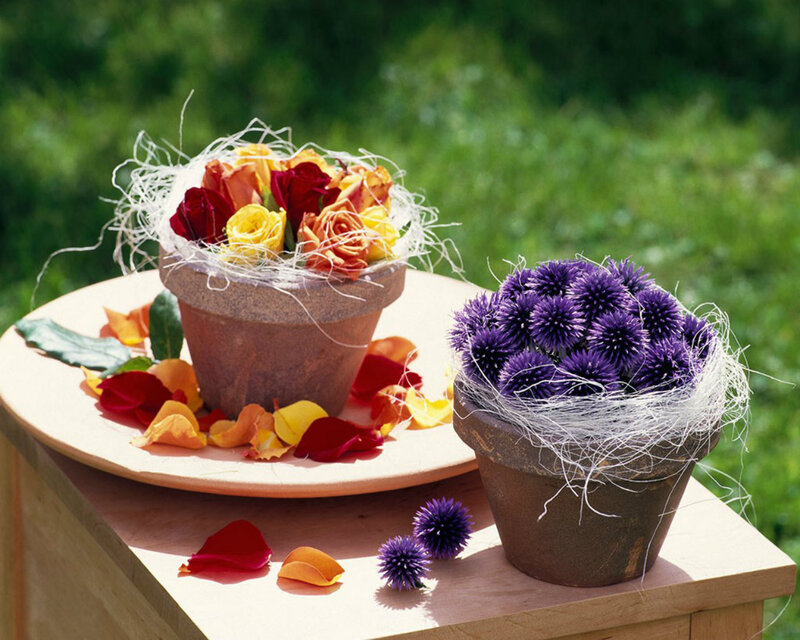 Flower Arrangements in Pots — Purple, Serene