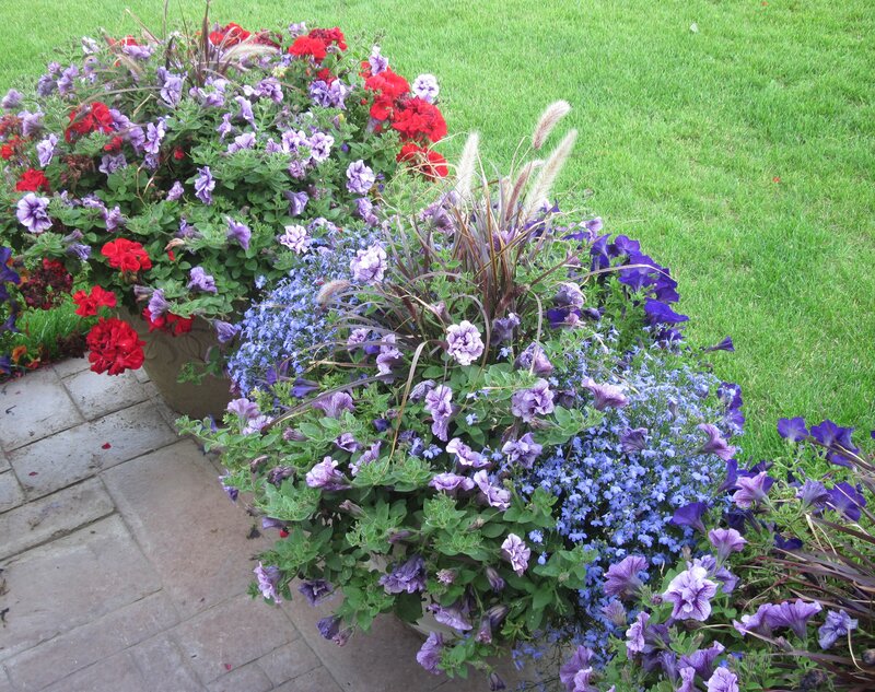 Flower Arrangements in Pots — Purple
