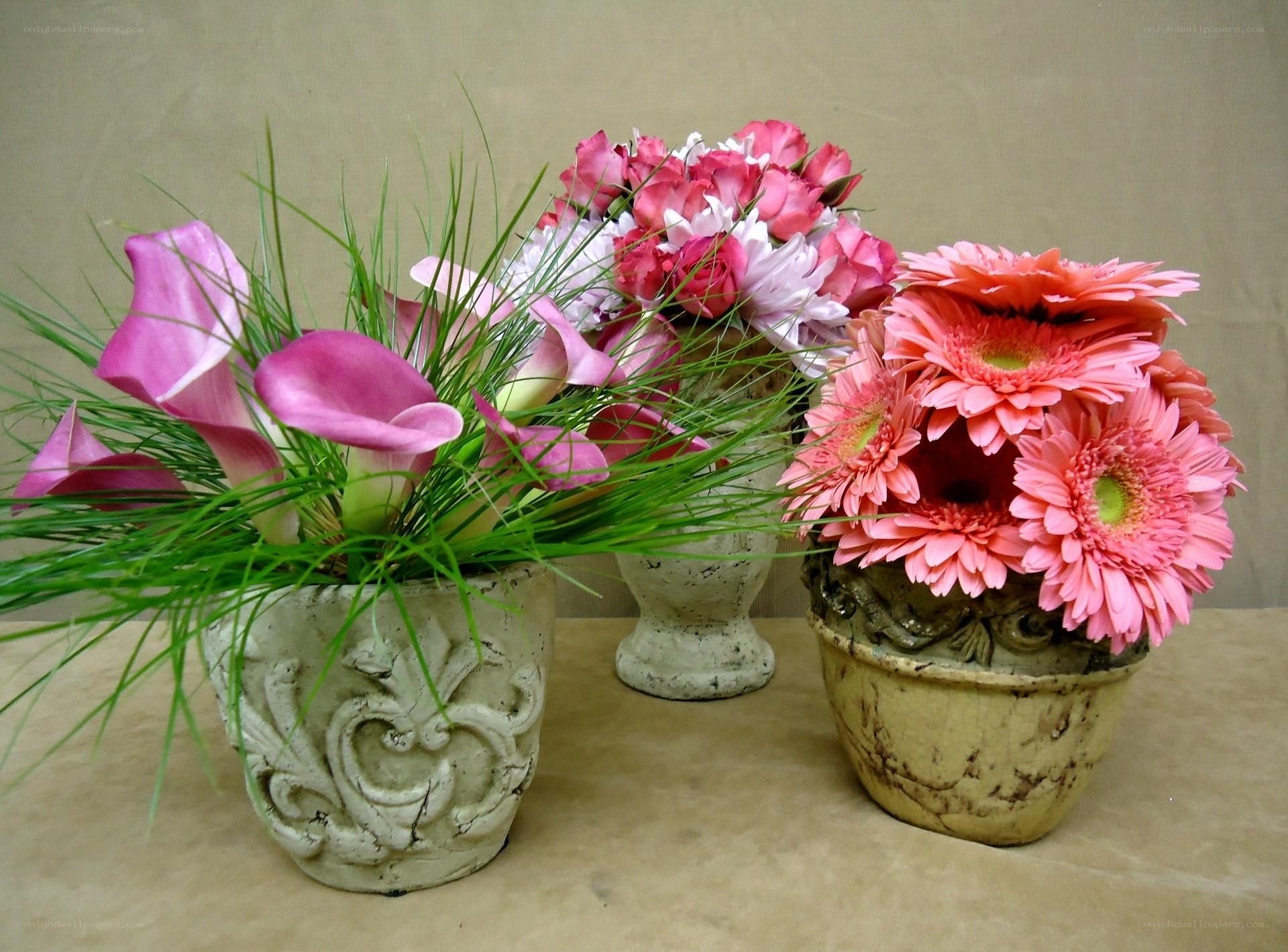 Flower arrangements in pots