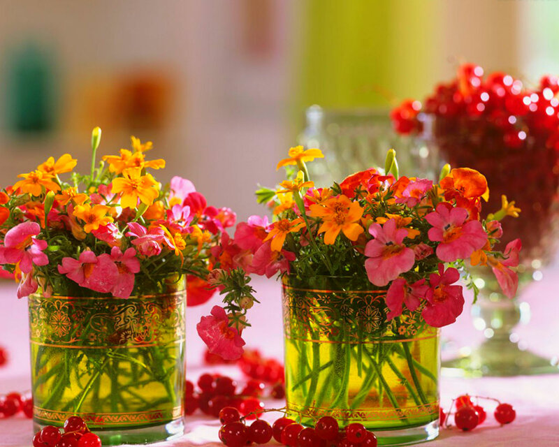 Flower Arrangements in Vases — Pink, Bright