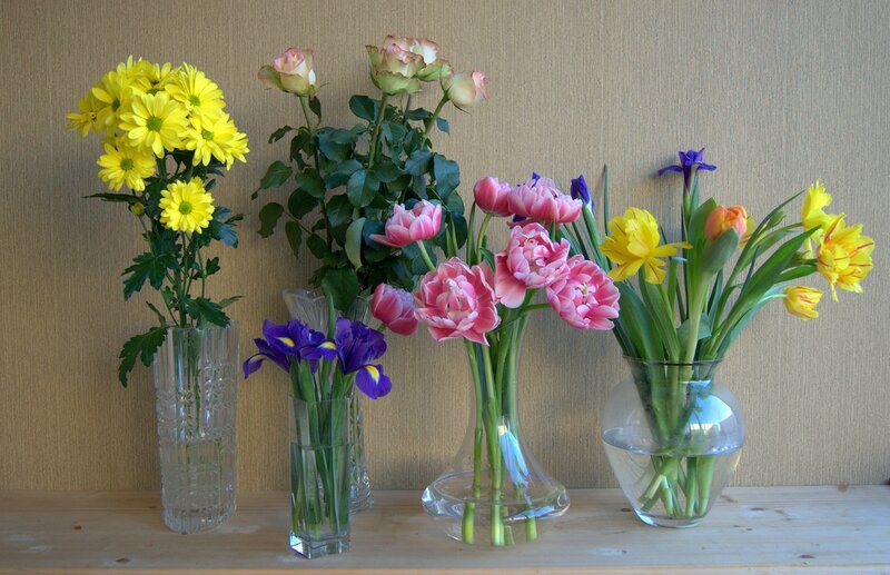 Flower Arrangements in Vases — Yellow, Calm