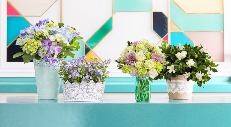Flower Arrangements on Table — Teal