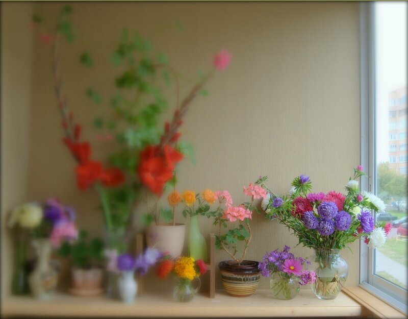 Flower Arrangements on Windowsill — Purple