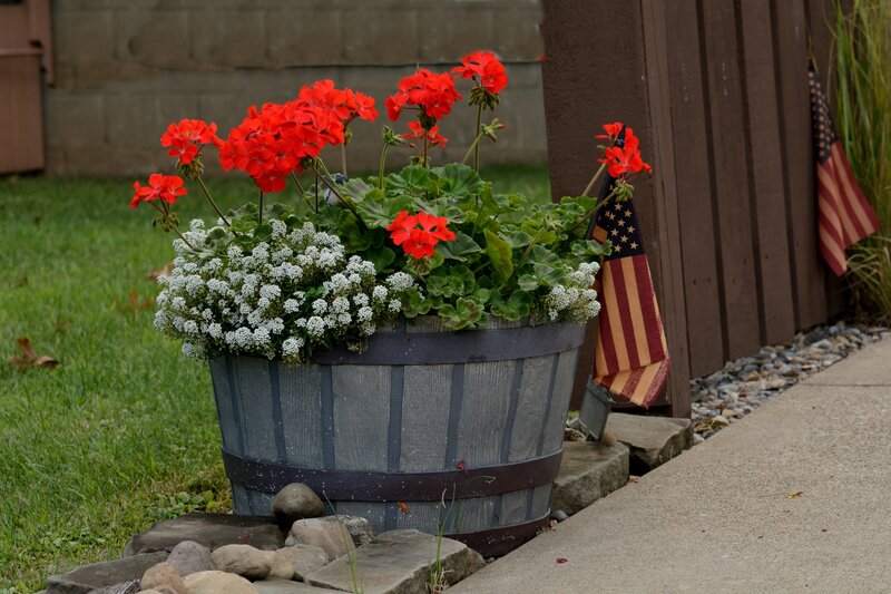 Flower Barrel with Flags
