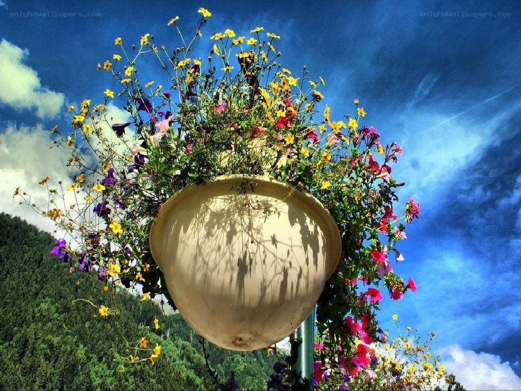 Flower basket against blue sky