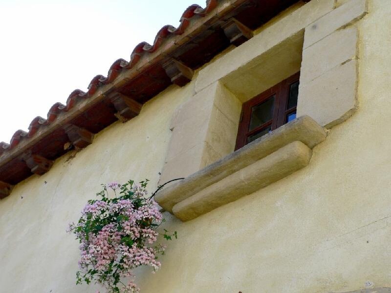 Flower basket by a window