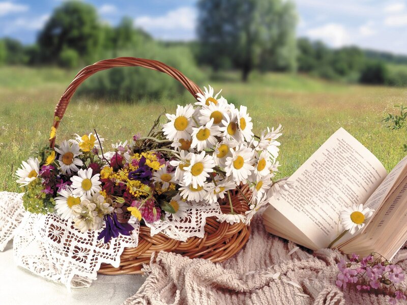 Flower basket in a meadow