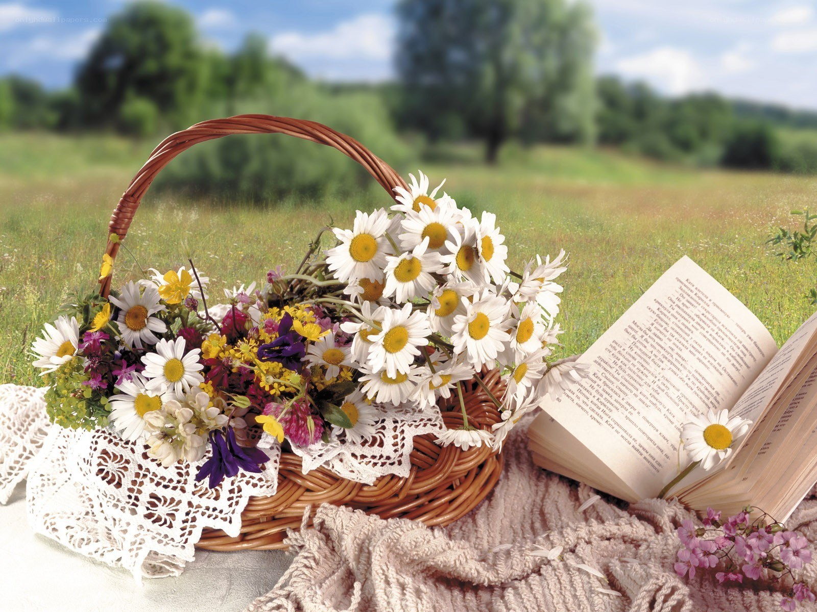 Flower basket in a meadow
