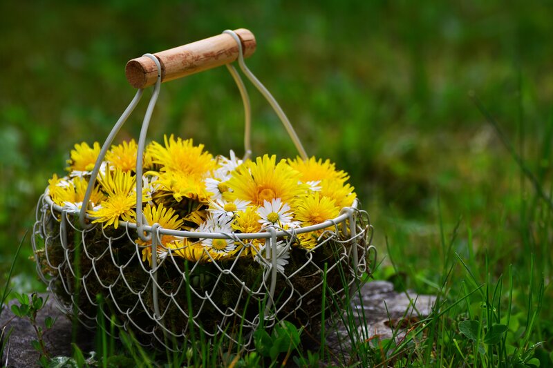 Flower basket in grass