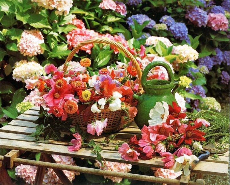 Flower Basket on Bench