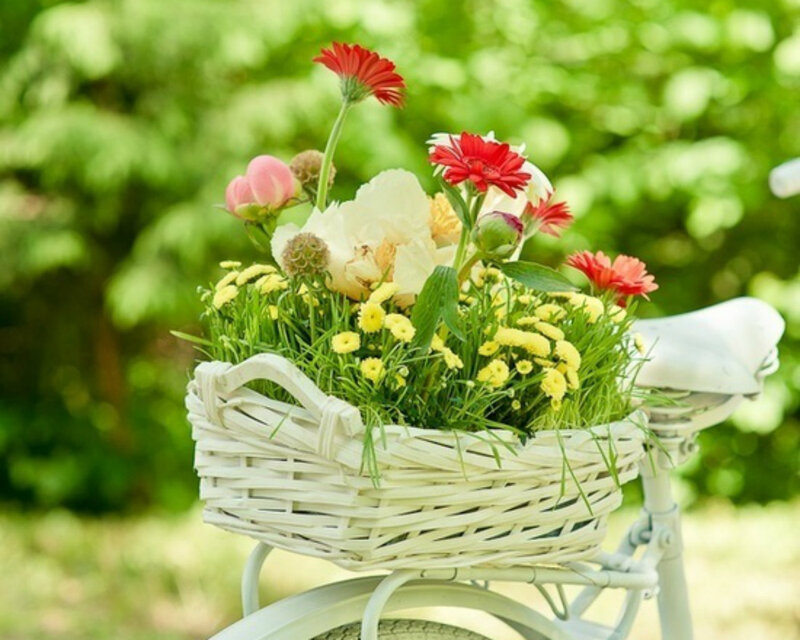 Flower Basket on Bicycle