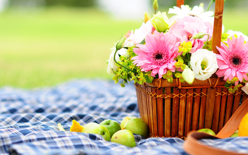 Flower Basket on Blanket — Pink
