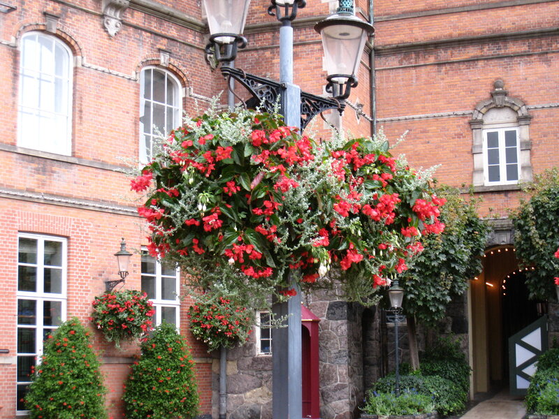 Flower Basket on Lamp Post