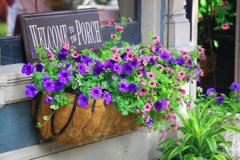 Flower Basket on Porch