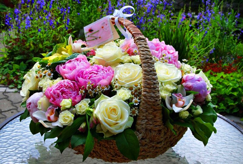 Flower Basket on Table — Pink, Serene, Afternoon