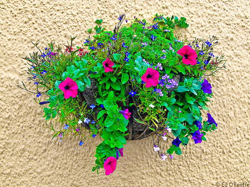 Flower Basket on Wall