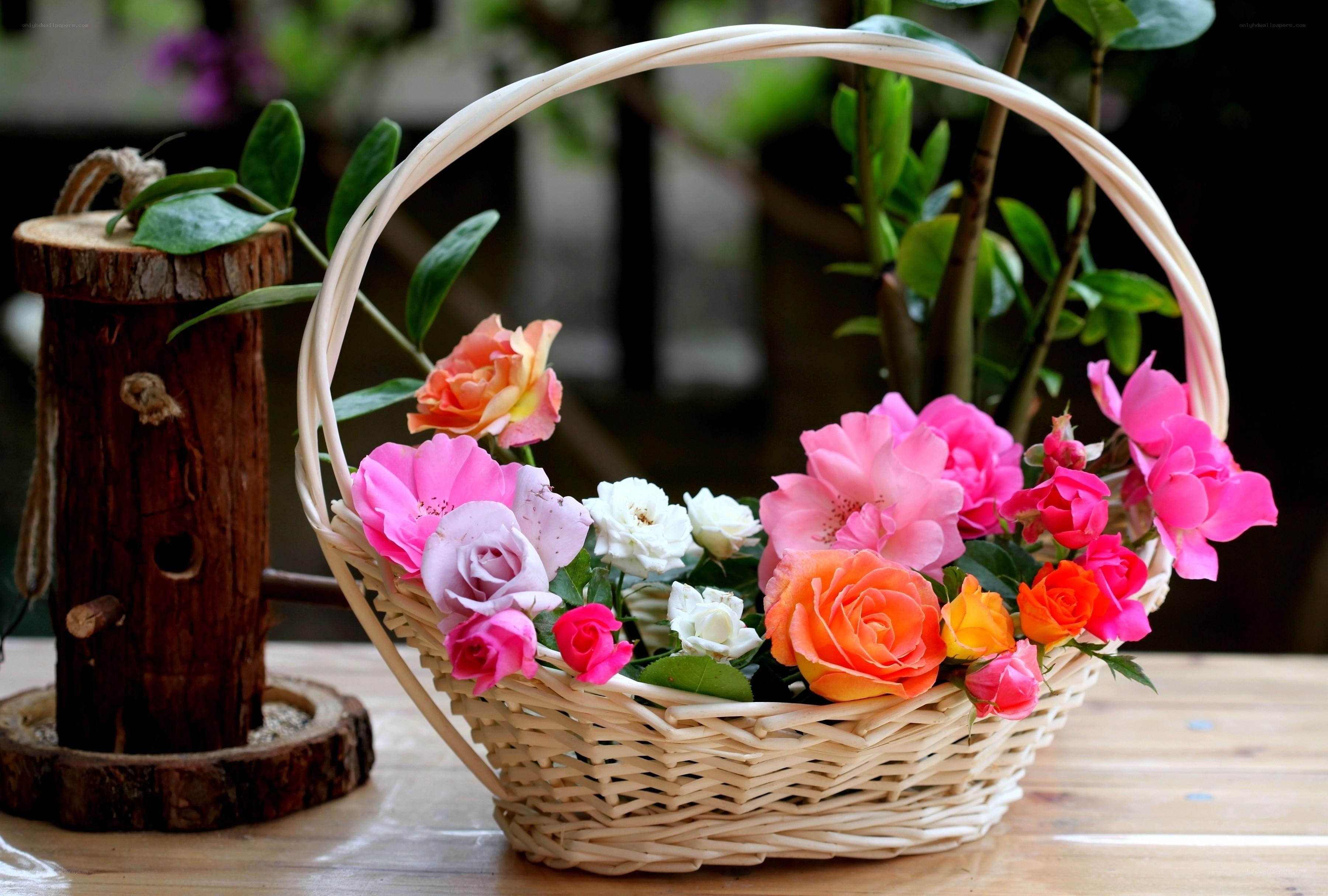 Flower basket on wooden table