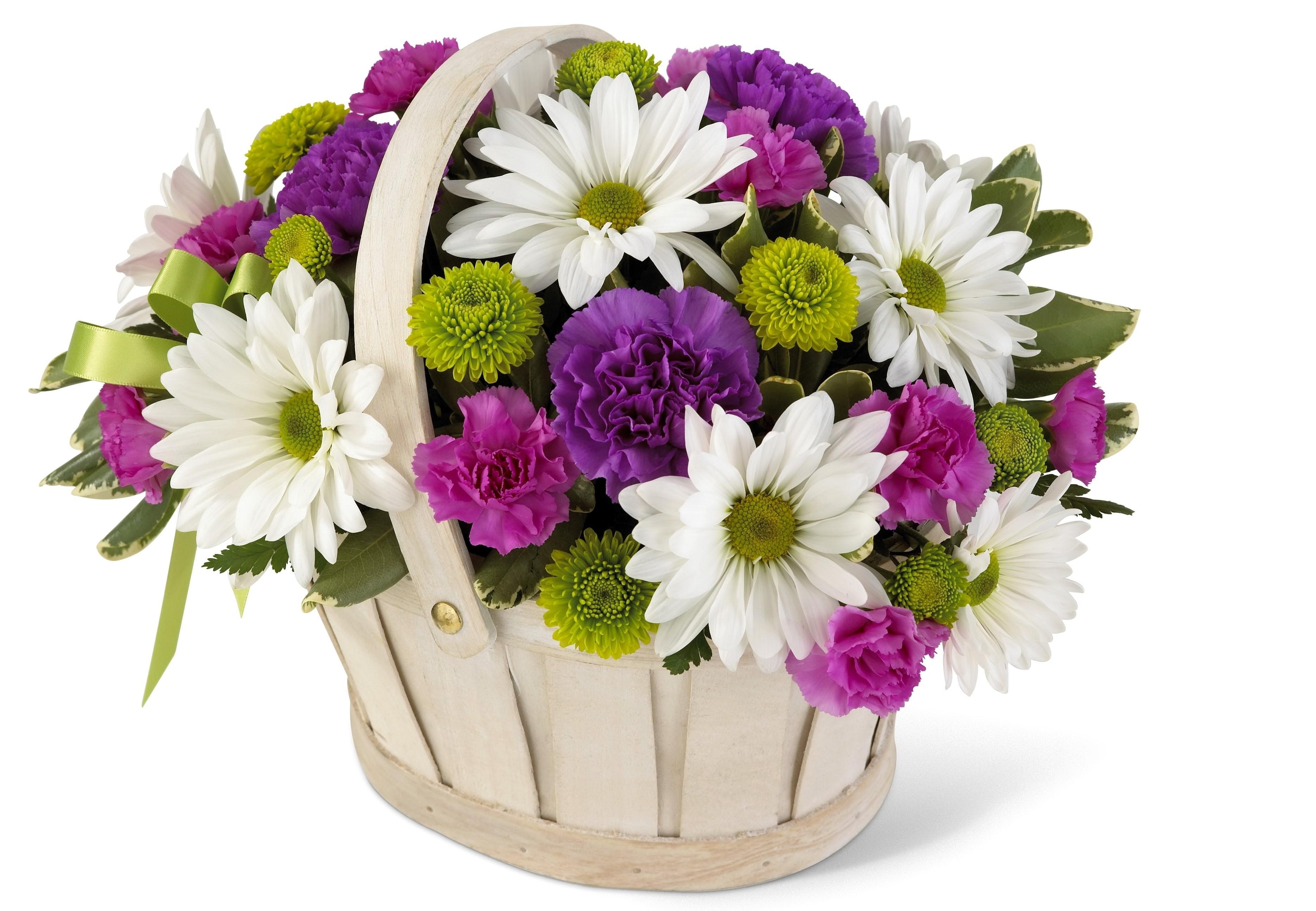Flower basket with daisies and carnations