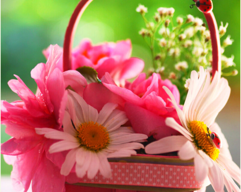 Flower Basket with Daisies — Pink, Bright