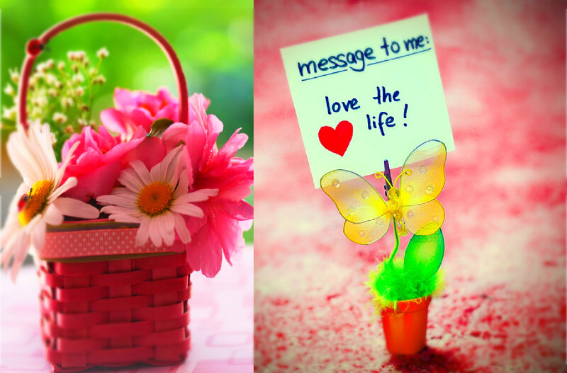 Flower Basket with Daisies — Pink, Cheerful