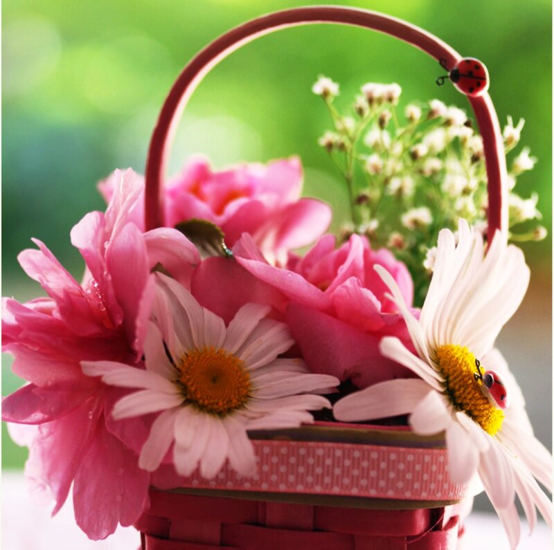 Flower Basket with Daisies — Pink