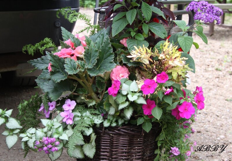 Flower Basket with Mixed Plants