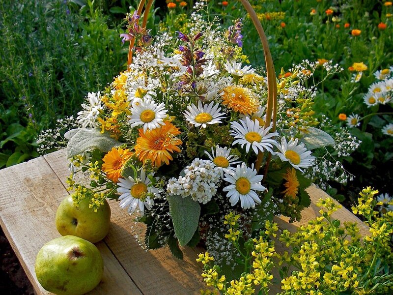 Flower Basket with Pears