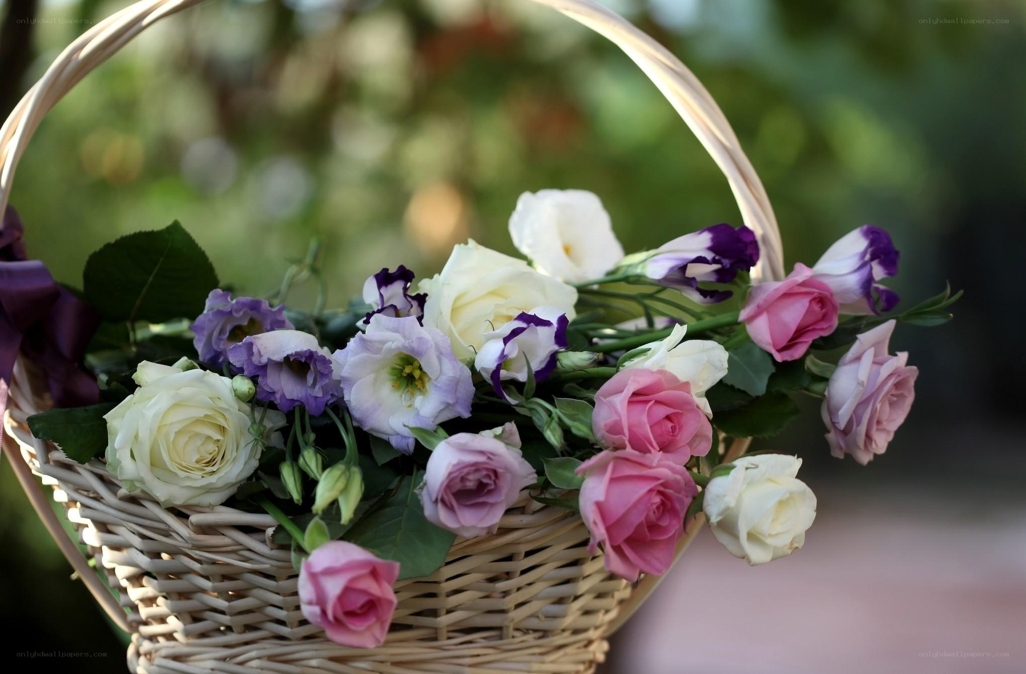 Flower basket with roses and lisianthus
