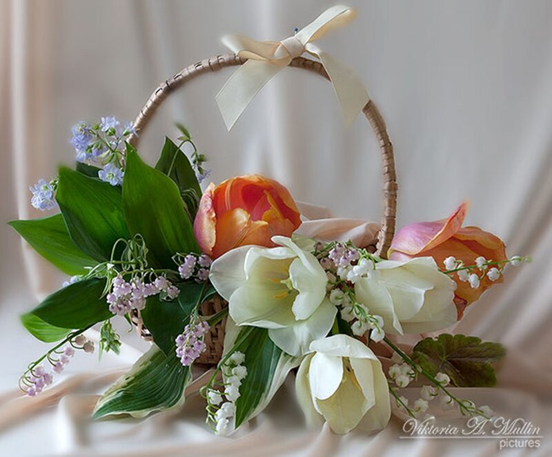 Flower Basket with Tulips — White, Serene