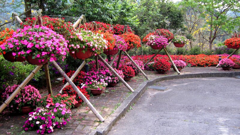 Flower Baskets in Garden