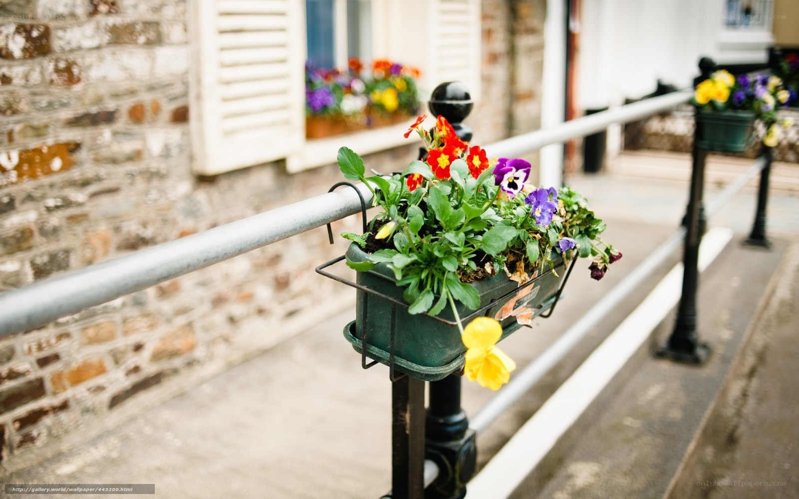 Flower baskets on a railing
