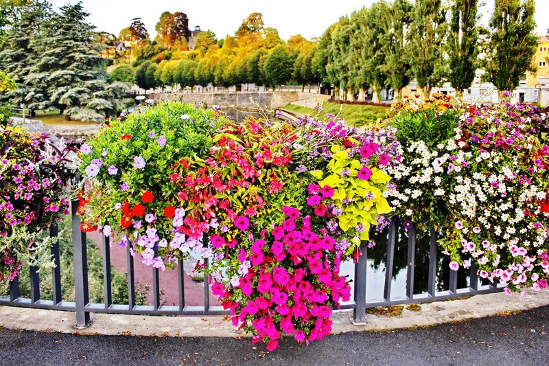 Flower Baskets on Railing
