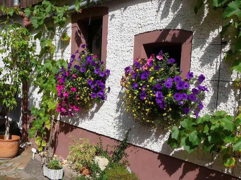 Flower Baskets on Wall