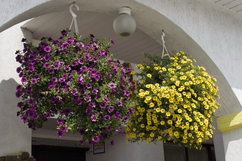 Flower baskets under an arch
