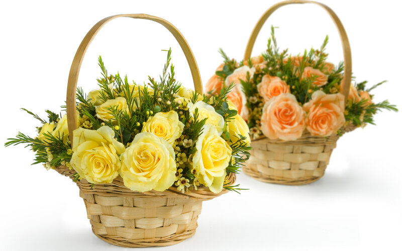 Flower Baskets with Roses — Yellow