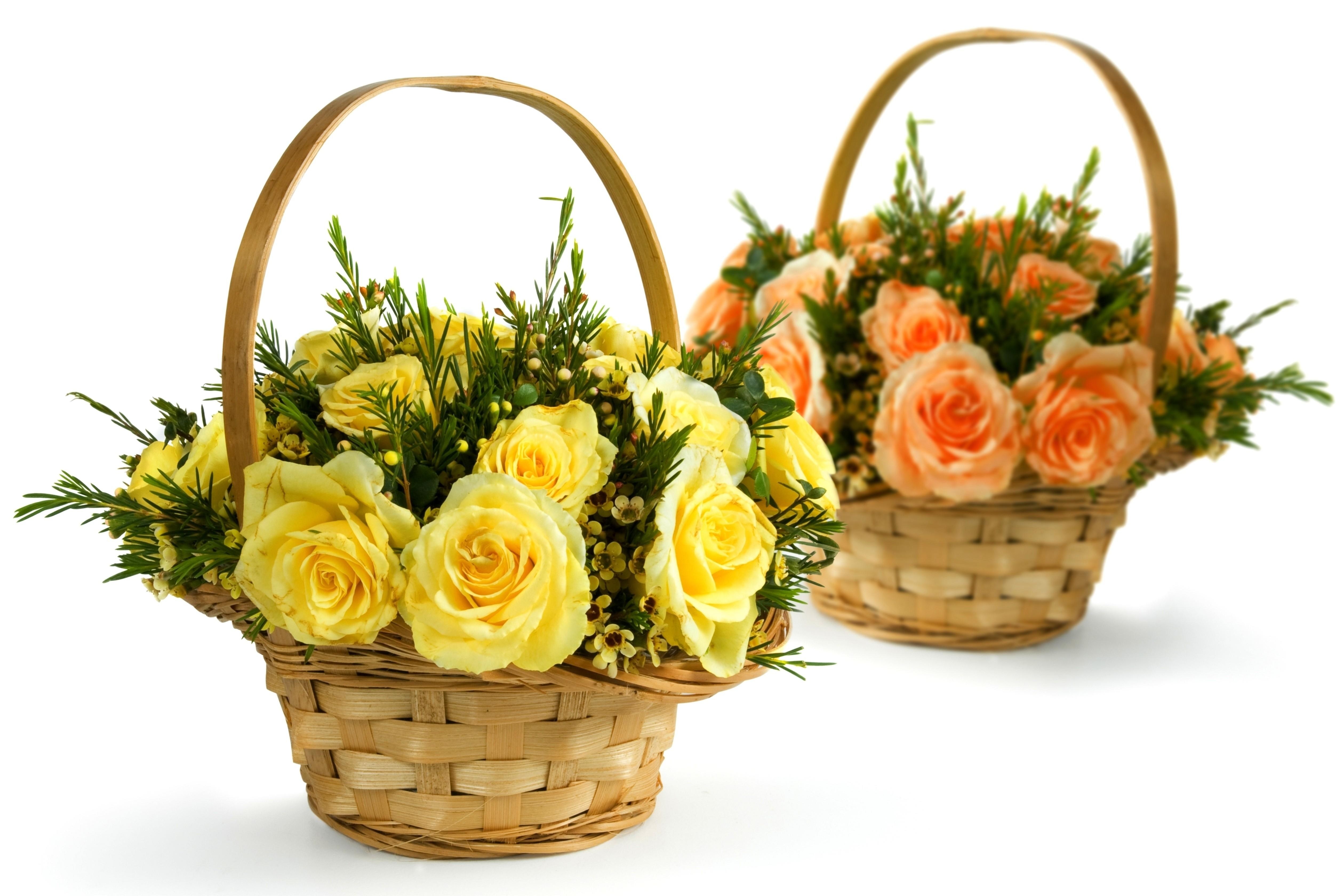 Flower baskets with roses