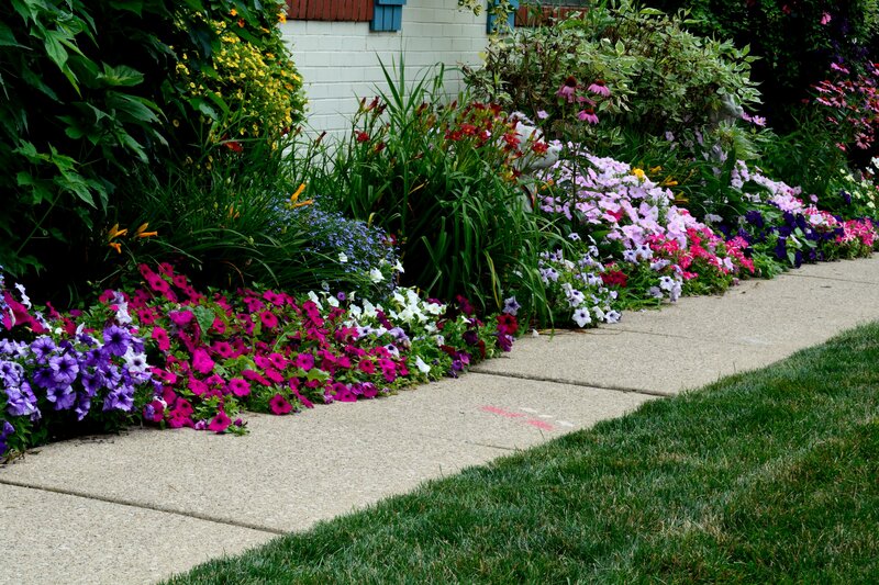 Flower Bed Along Sidewalk