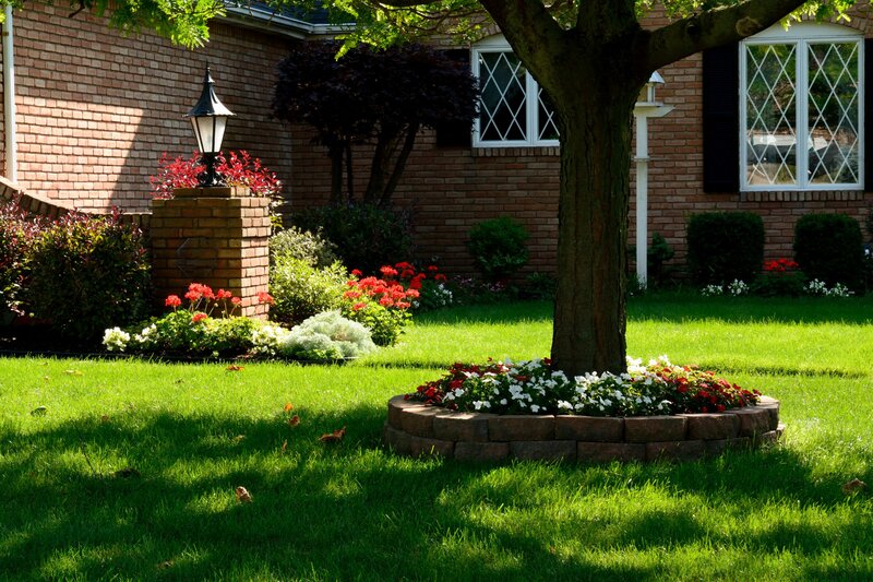 Flower Bed Around Tree — Green, Serene