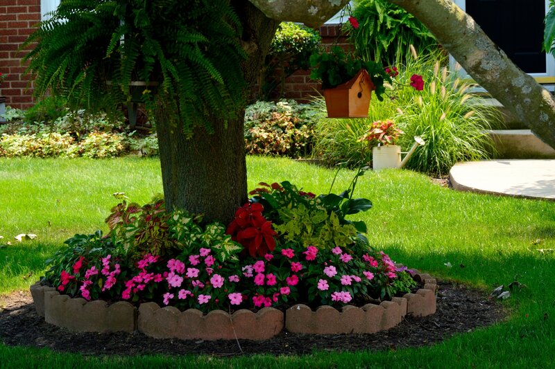 Flower Bed Around Tree — Green
