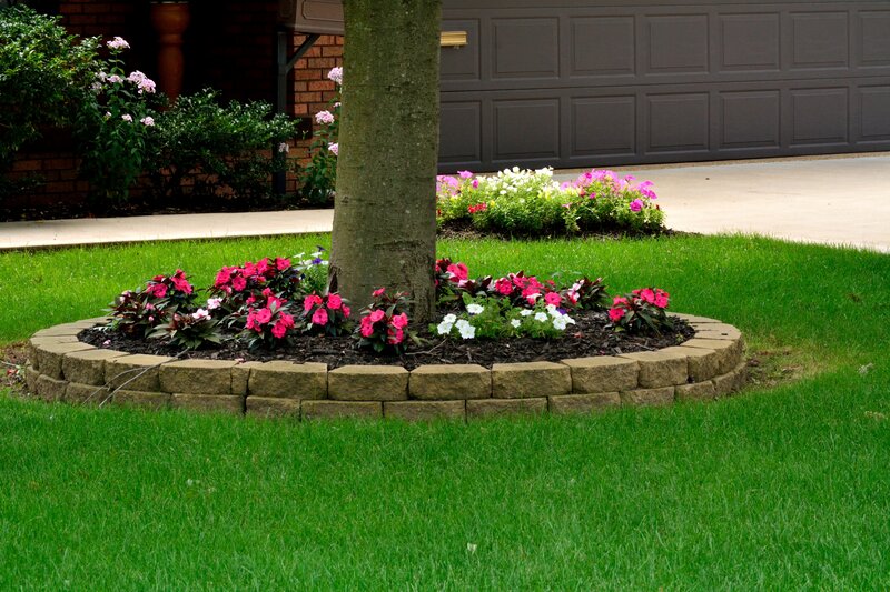 Flower Bed Around Tree