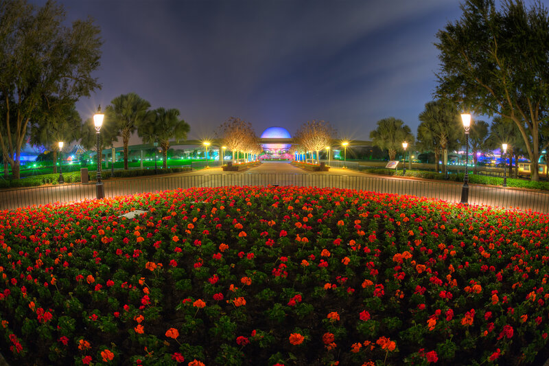 Flower Bed at Night