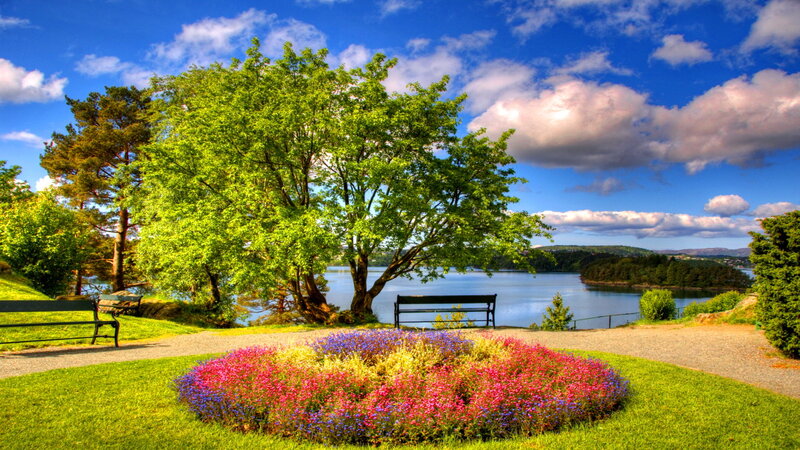 Flower Bed by Lake — Green