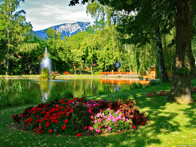 Flower Bed by Pond — Green