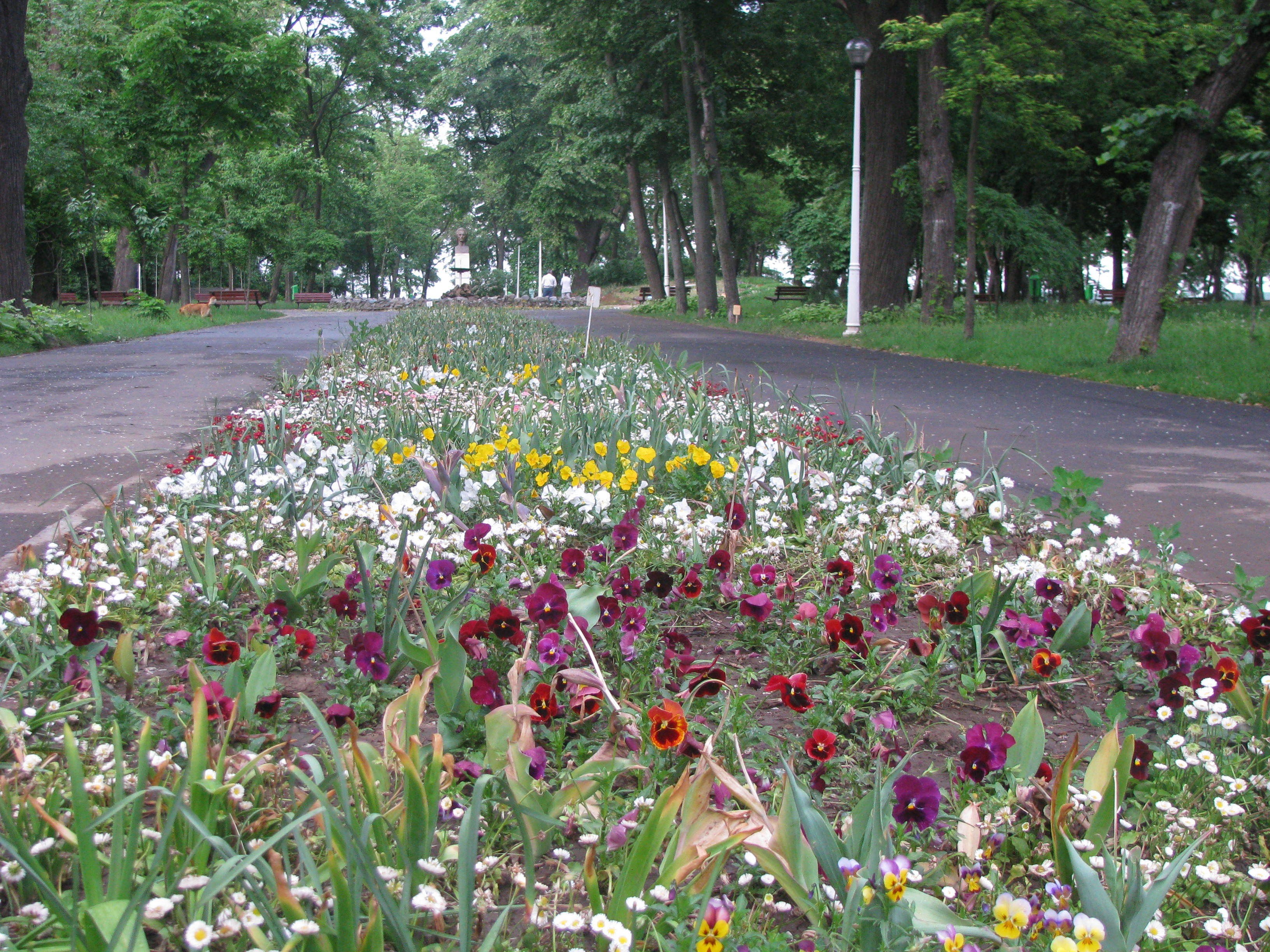 Flower bed in a park